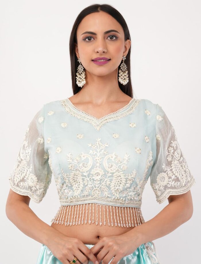 Gaon Originals Silk Pastel Blue Saree with Hand Embroidery - Image 5