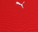 Puma Unisex-Kid Polyester Teamrise Regular Fit Drycell Jersey - Image 4
